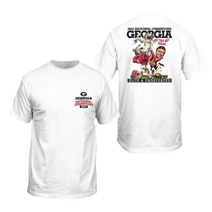 Georgia Bulldogs Men's Playoff Illustration College 2022 National Champions White Football T-Shirt 2413YEQF5