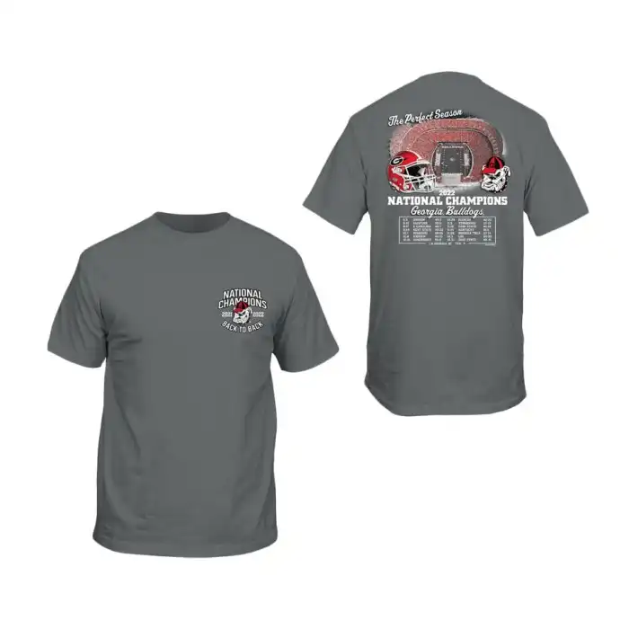 Georgia Bulldogs Men's Playoff Recap College 2022 National Champions Gray Football T-Shirt 2413SWLK1